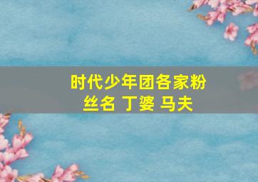 时代少年团各家粉丝名 丁婆 马夫